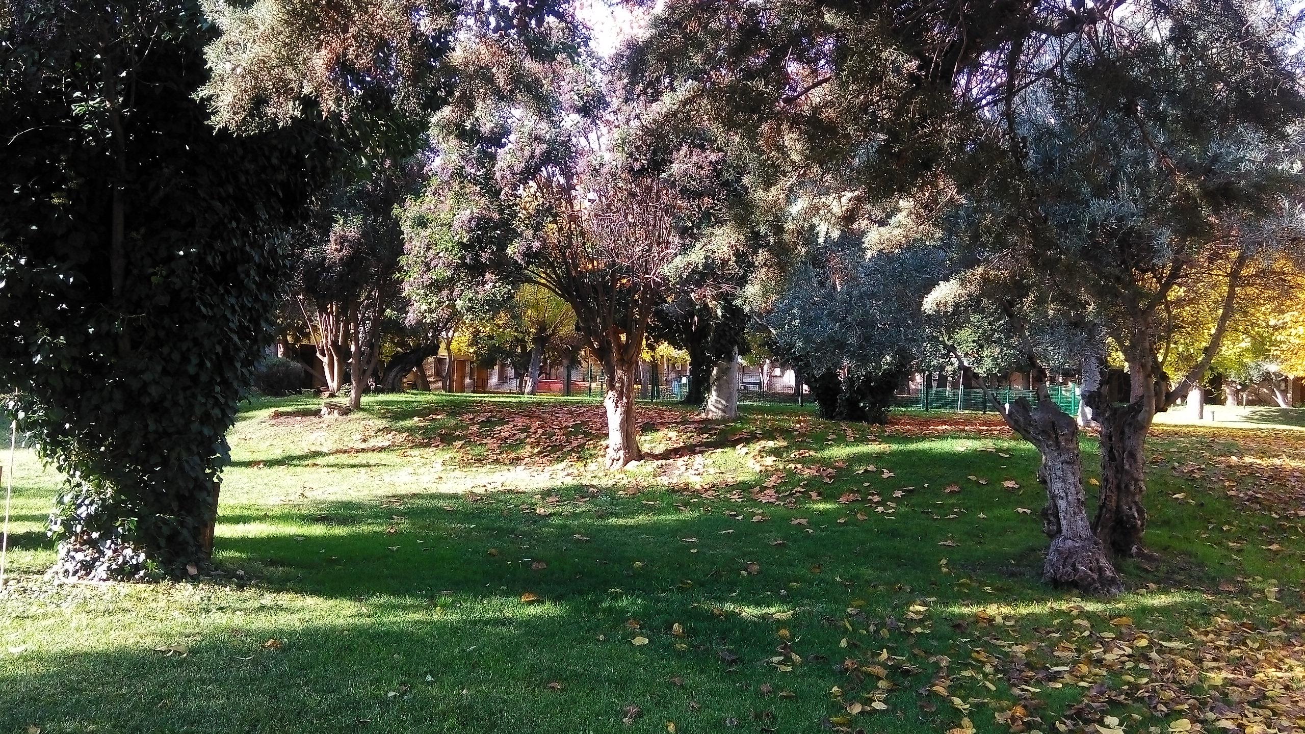 Hotel Los Olivos Getafe Dış mekan fotoğraf
