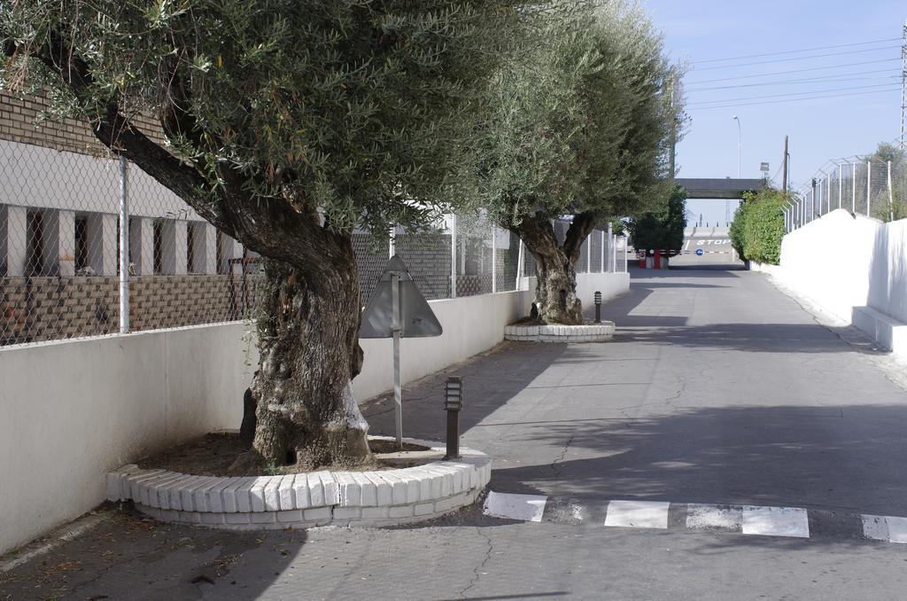 Hotel Los Olivos Getafe Dış mekan fotoğraf