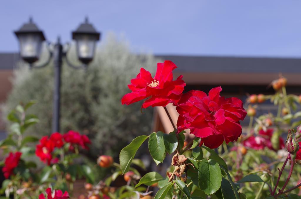 Hotel Los Olivos Getafe Dış mekan fotoğraf